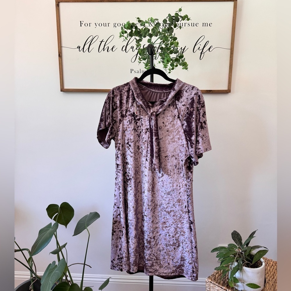 NWT Beautiful lavender velvet new with tags dress